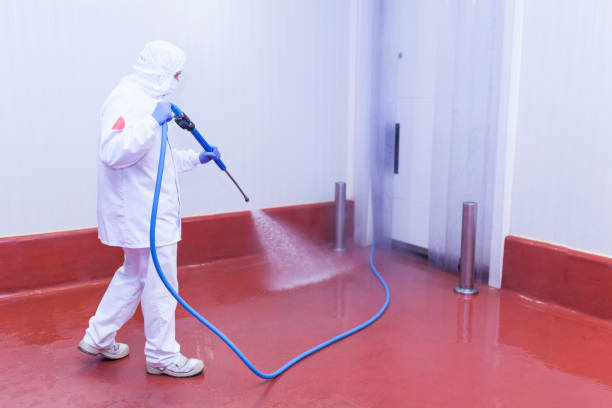 Pre-Holiday Cleaning in Brinkley, AR