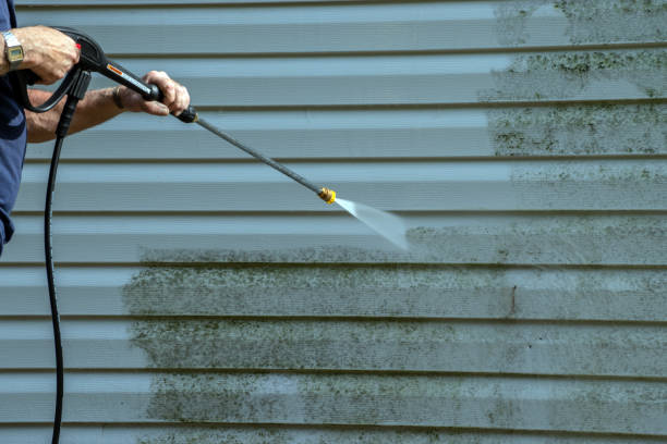 Best Gutter Cleaning  in Brinkley, AR